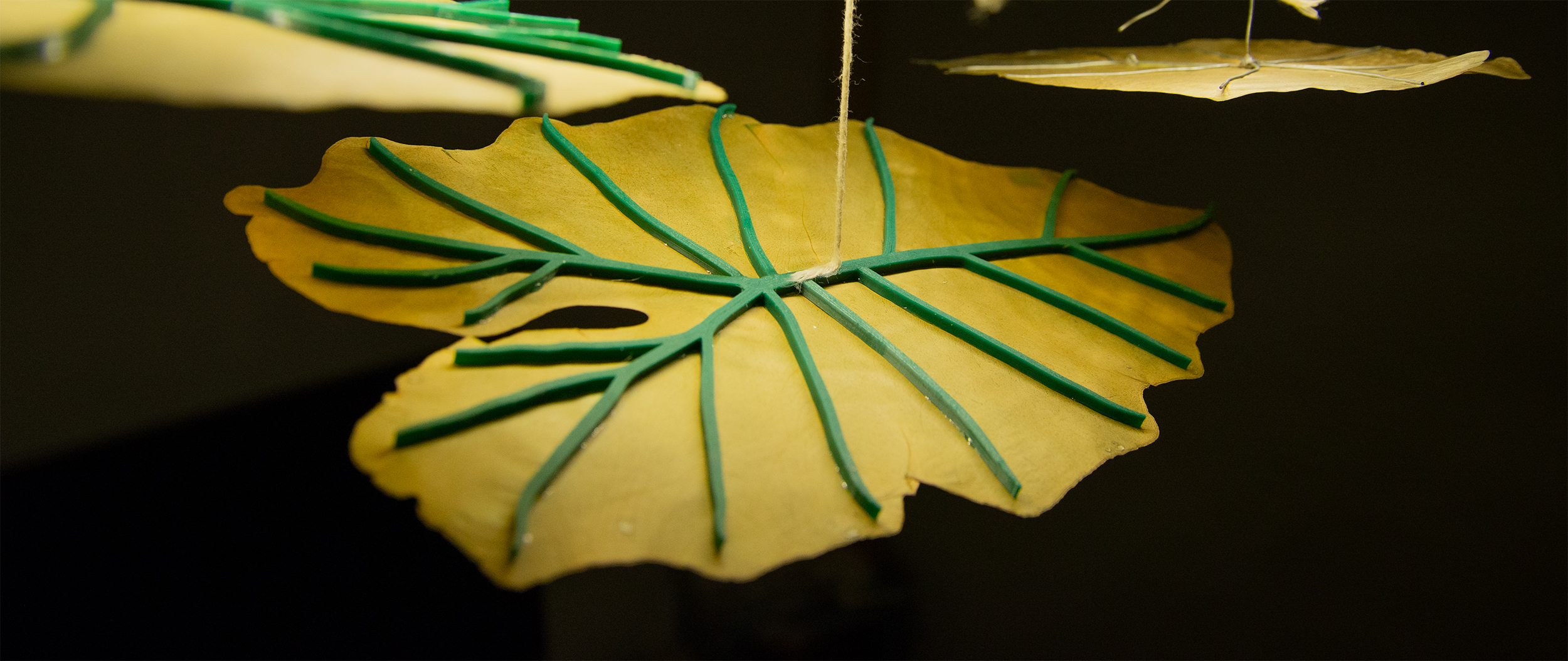 Image of artificial leaf nerves made with a 3d printer, glued to dried leaf